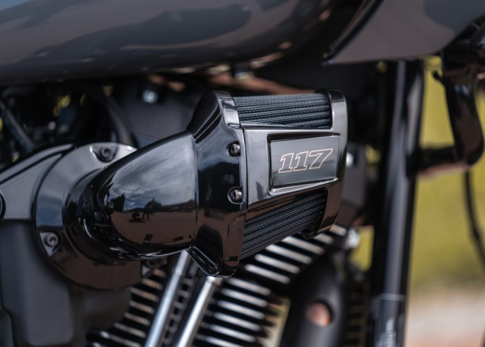 48 Harley Davidson Low Rider ST 117 filtr